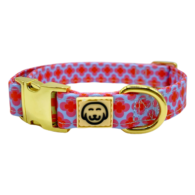 Venezia - Dog Collar