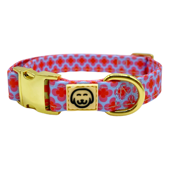 Venezia - Dog Collar