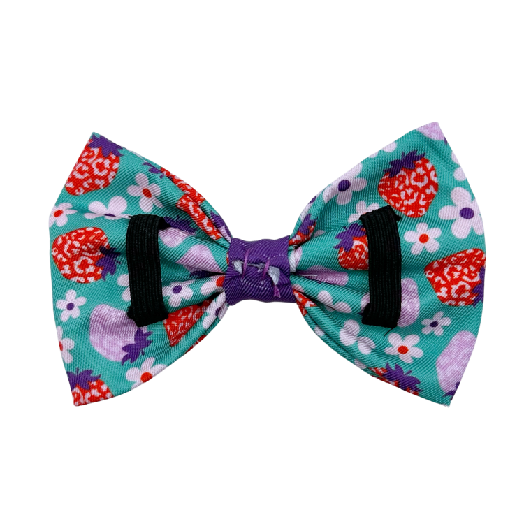 Strawberry - Dog Bowtie