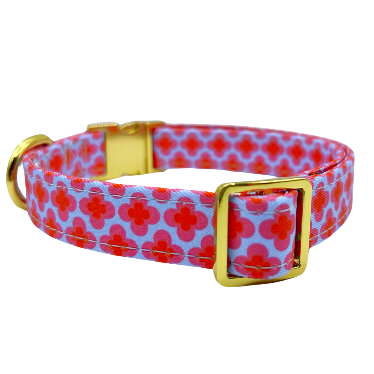 Venezia - Dog Collar