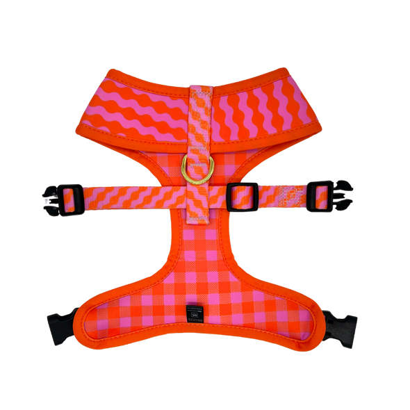 Mango - Reversible Dog Harness