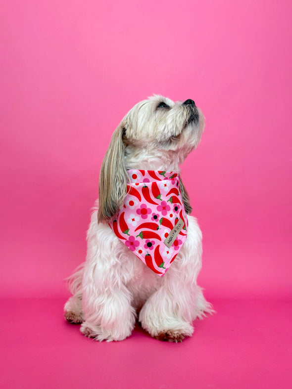 Spicy - Dog Bandana