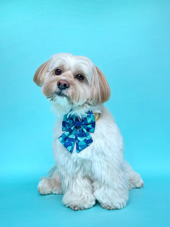 Milos - Dog Sailor Bowtie