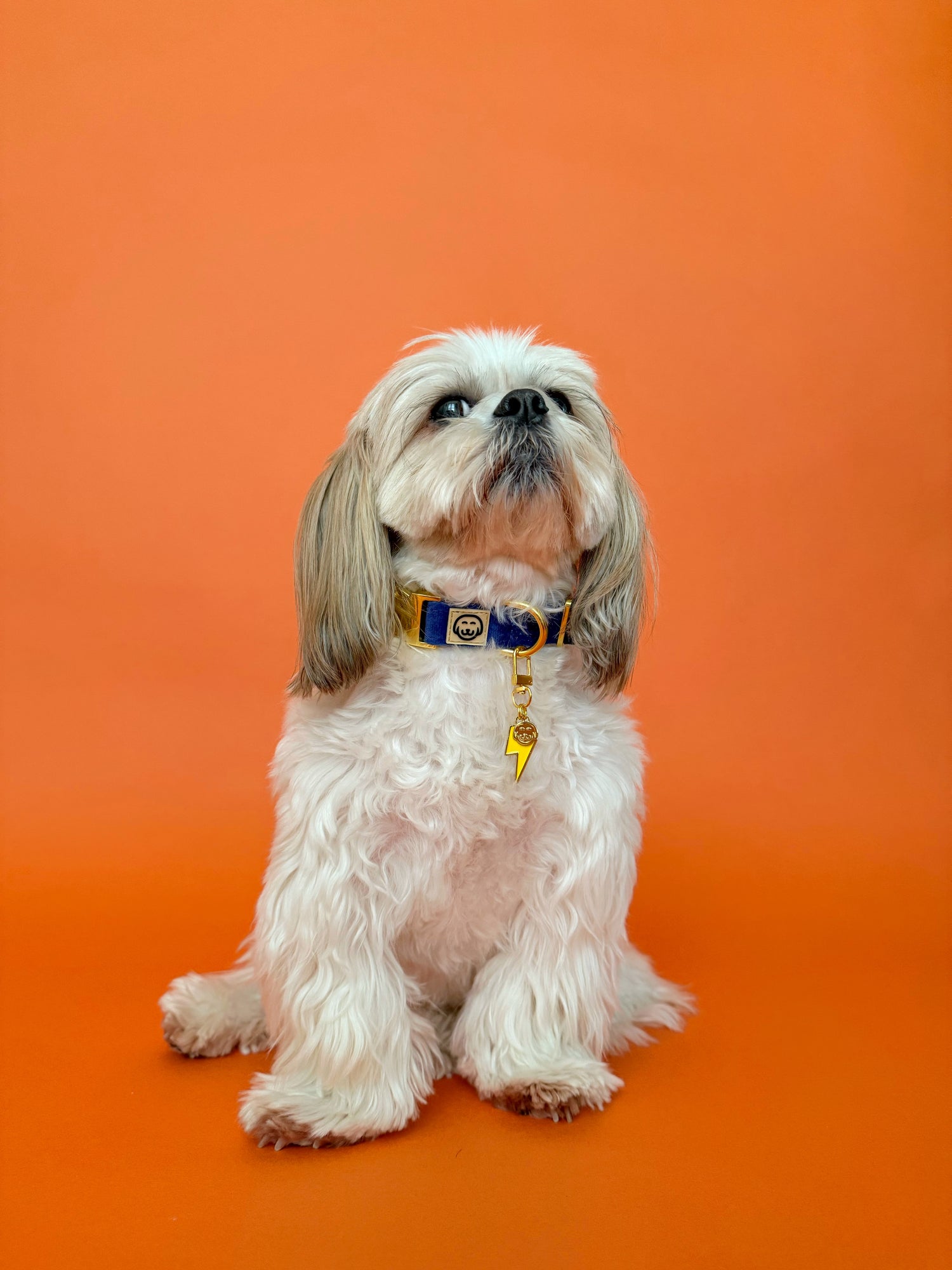 Lightning Bolt - Collar Charm