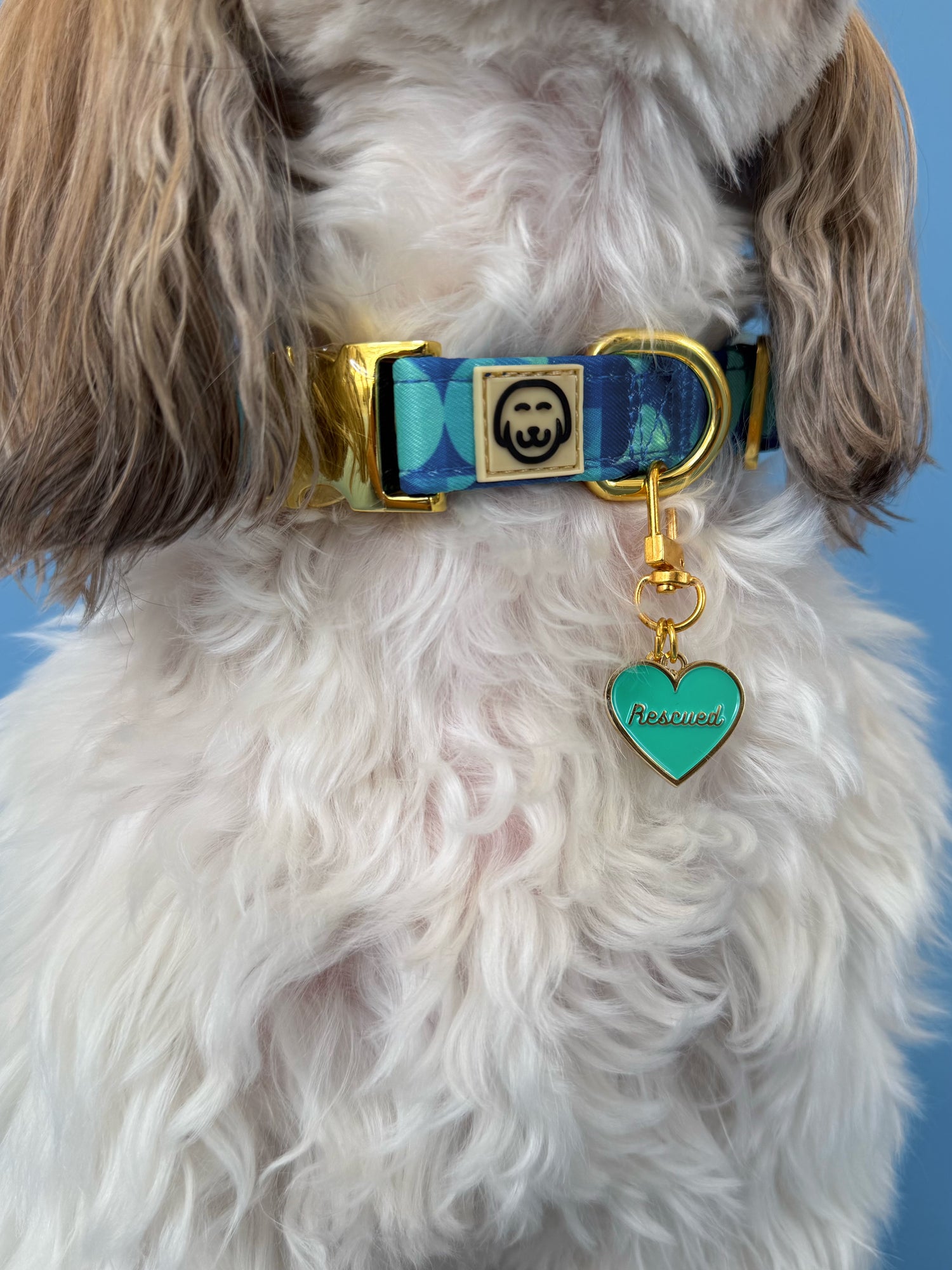 Rescued - Collar Charm