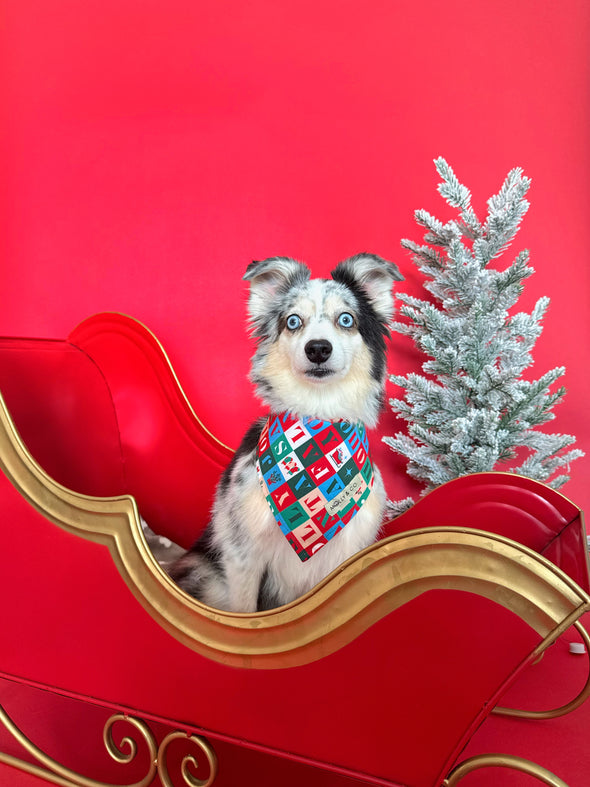 Santa's Workshop - Reversible Dog Bandana