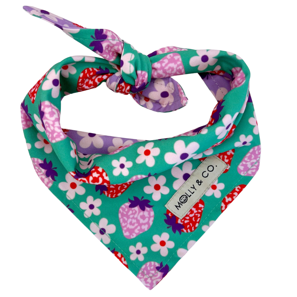 Strawberry - Reversible Dog Bandana