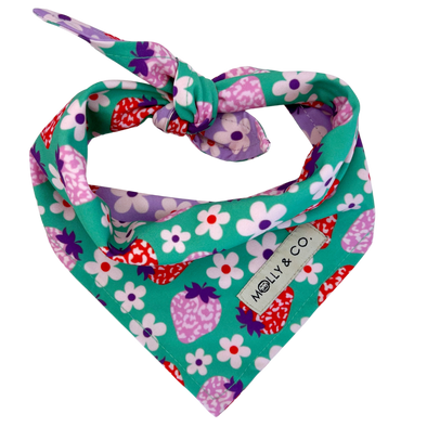 Strawberry - Reversible Dog Bandana