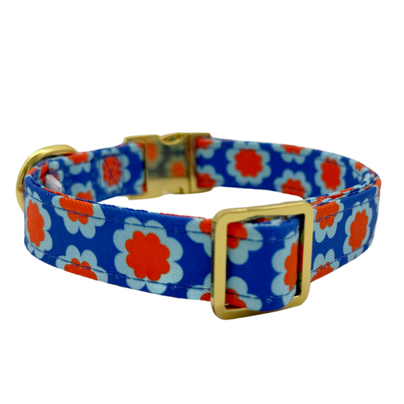 Sorrento - Dog Collar