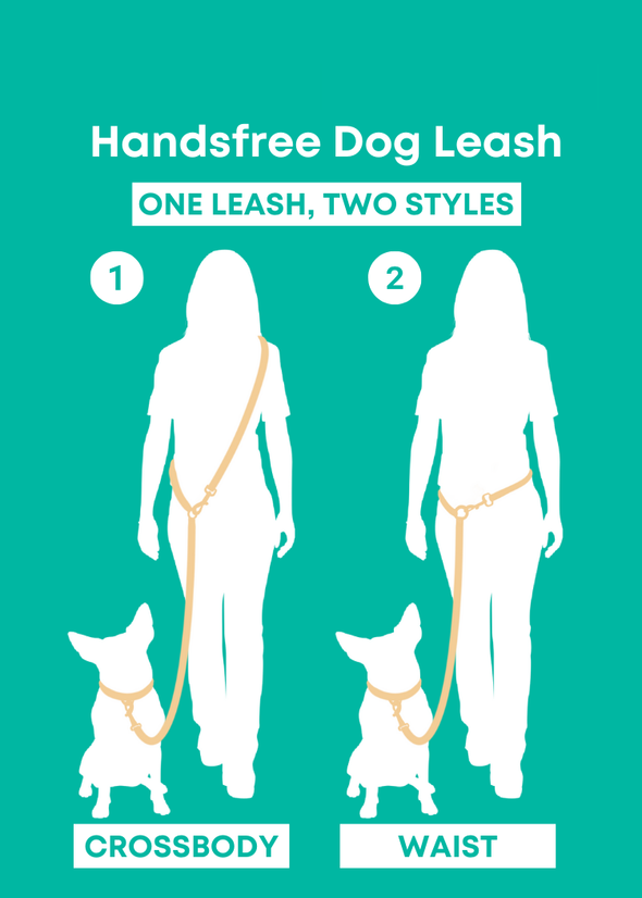 Bubblegum - Splashproof Handsfree Dog Leash