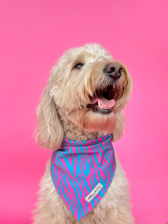 Malibu Doll - Dog Bandana