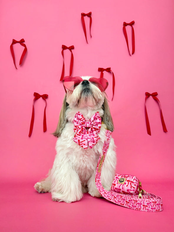 Coquette - Dog Poop Bag Holder