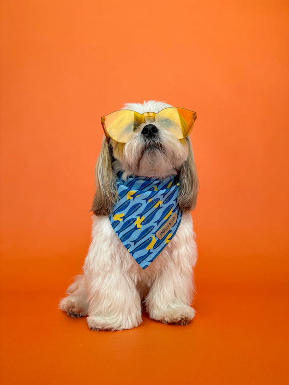 Mar Salato - Reversible Dog Bandana