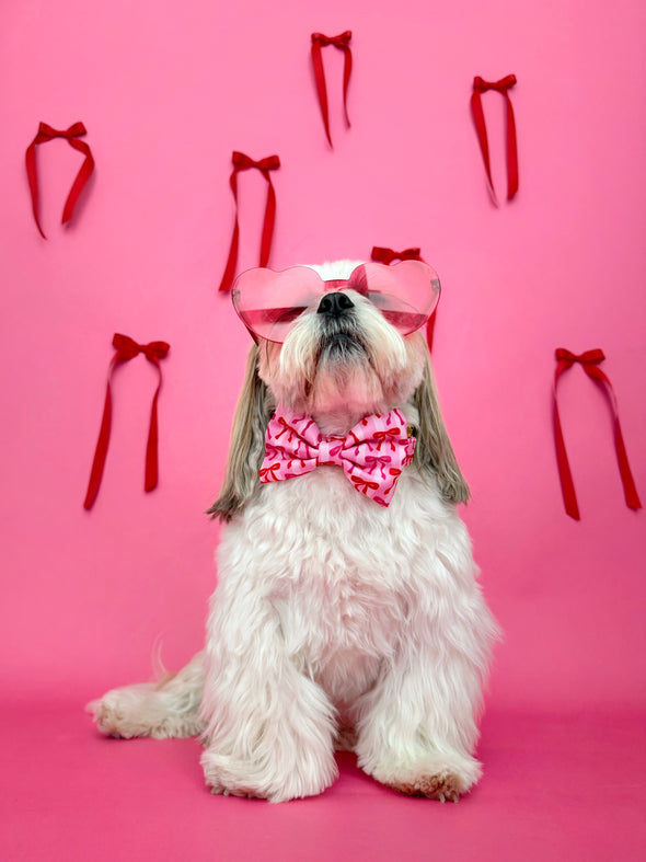 Coquette - Dog Bowtie