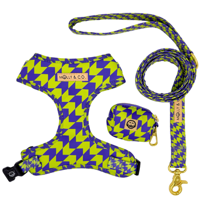 Fetch Master - Walking Bundle