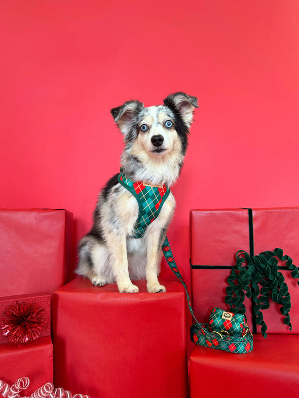 Evergreen Argyle - Walking Bundle