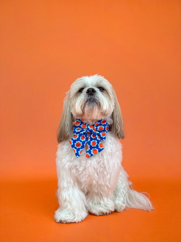 Sorrento - Dog Sailor Bowtie