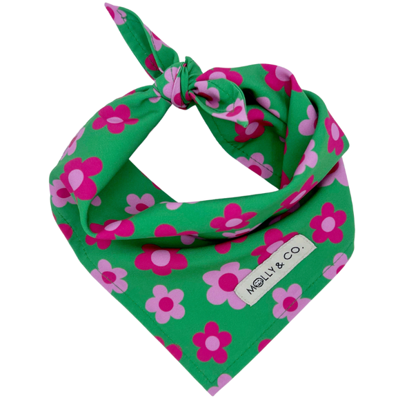 Petunia - Dog Bandana