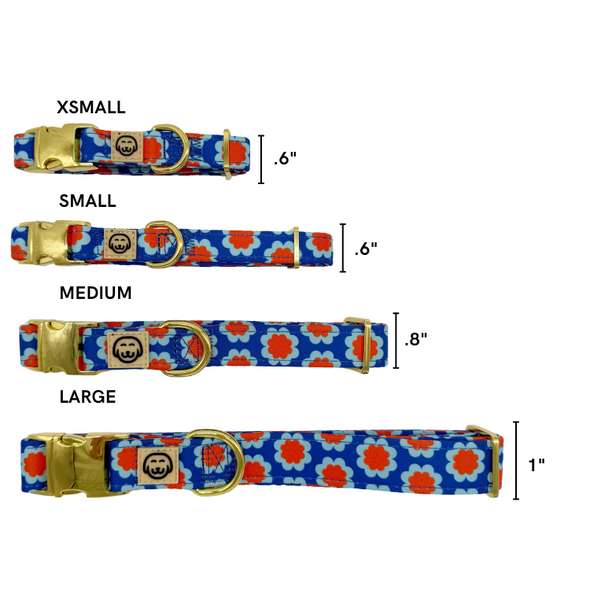 Sorrento - Dog Collar