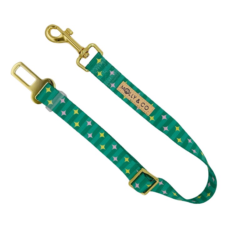 Misty - Dog Seatbelt