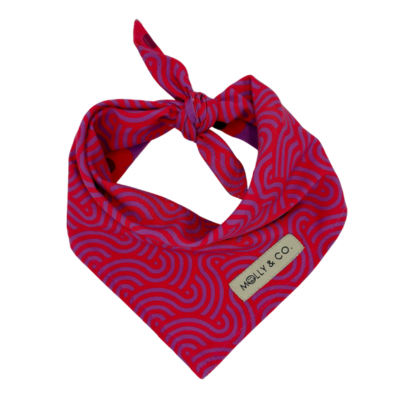Mon Chéri - Reversible Dog Bandana
