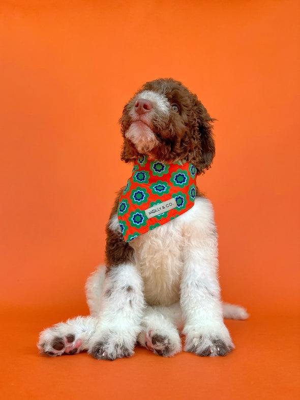 Sorrento - Reversible Dog Bandana