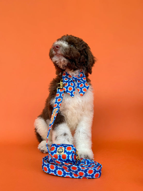 Sorrento - Dog Sailor Bowtie