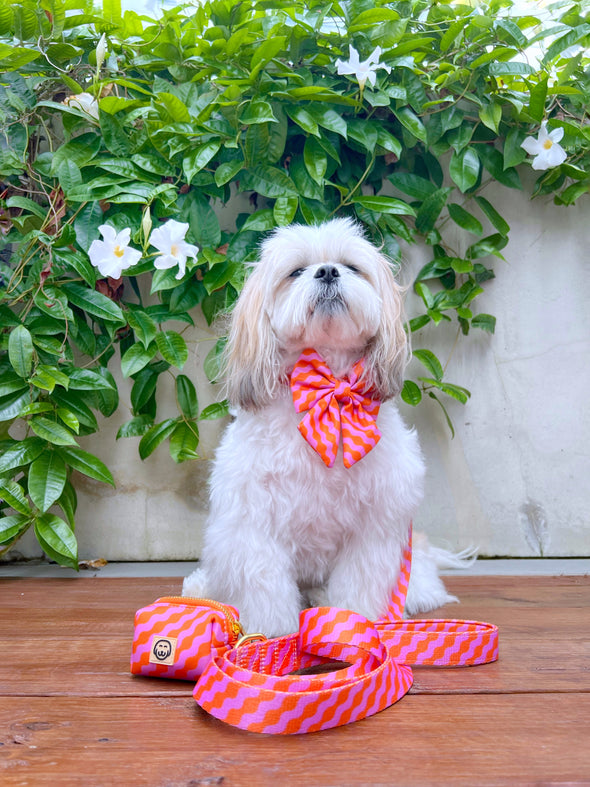 Mango - Dog Sailor Bowtie