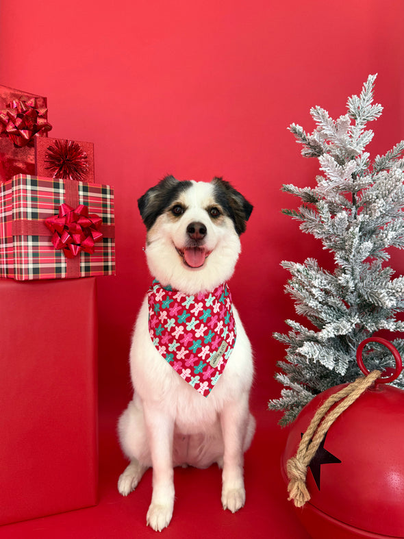 Rosewood Tartan + Gingerbread - Reversible Dog Bandana