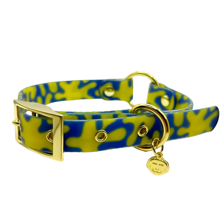 Neptune - Splashproof Dog Collar