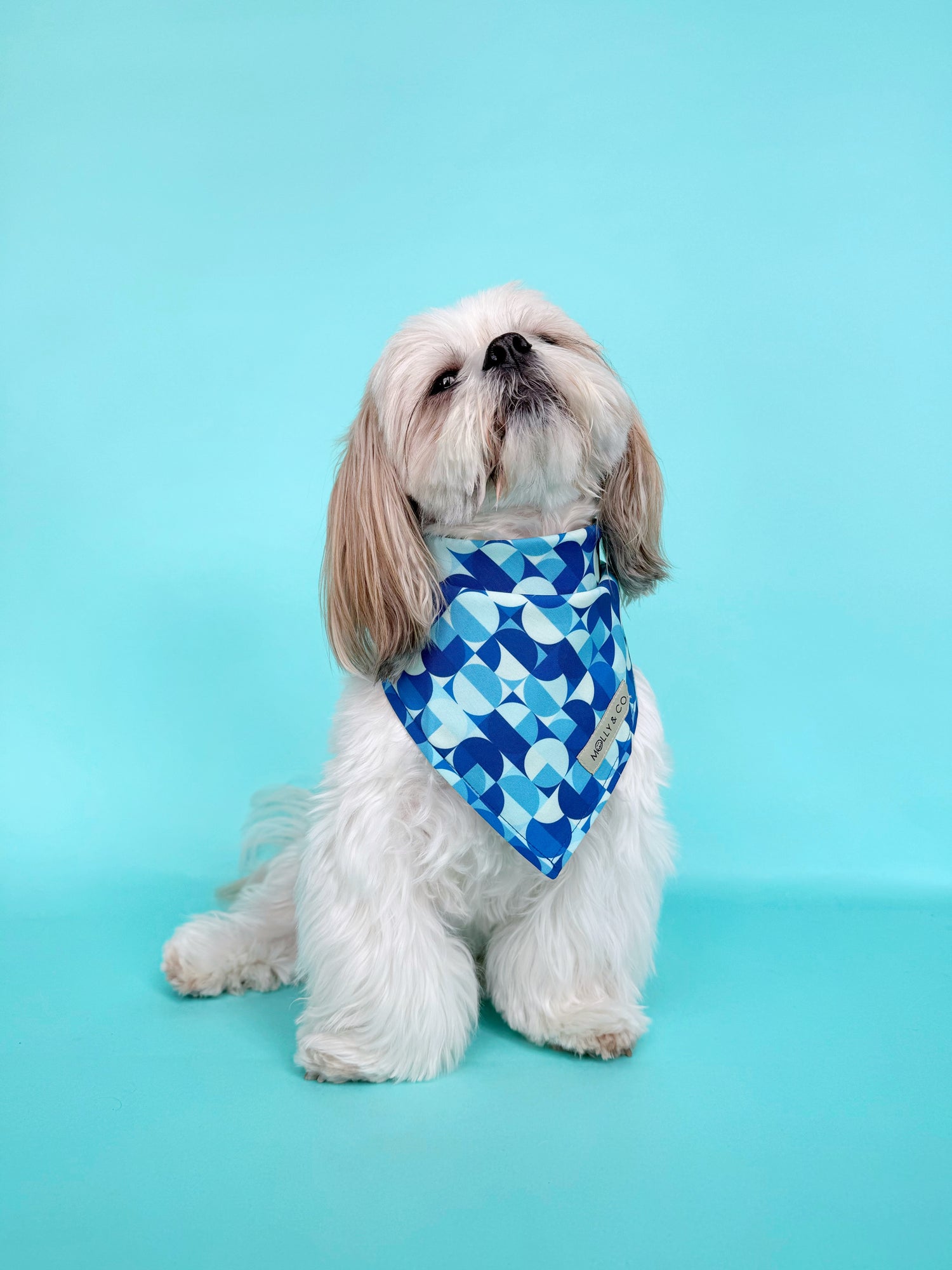 Milos - Dog Bandana