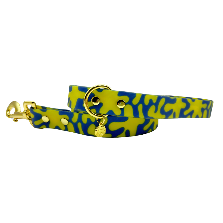 Neptune - Splashproof Dog Leash