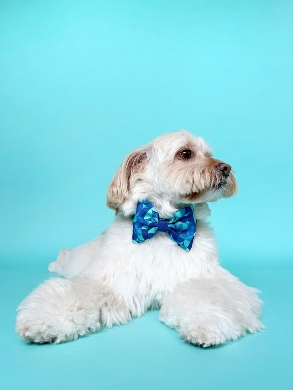 Milos - Dog Bowtie