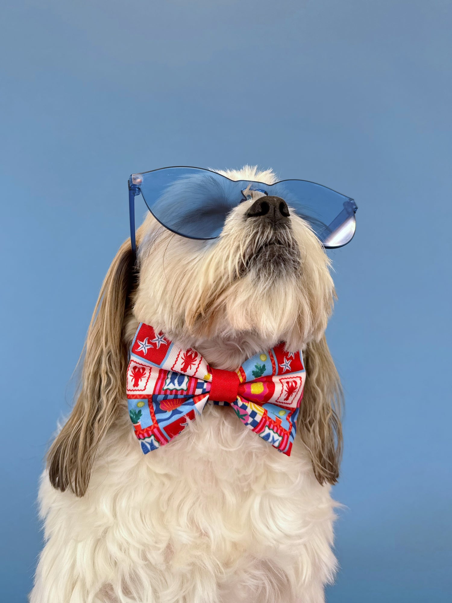 Amalfi - Dog Bowtie