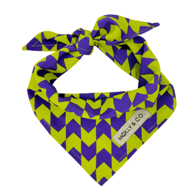 Fetch Master - Dog Bandana