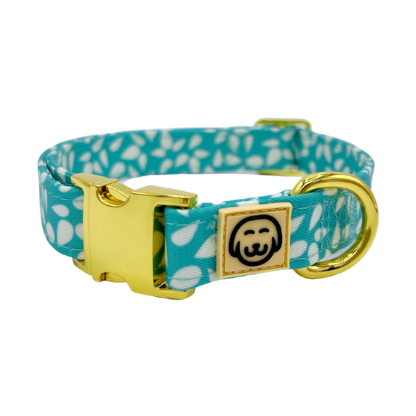 Seafoam - Dog Collar - FINAL SALE