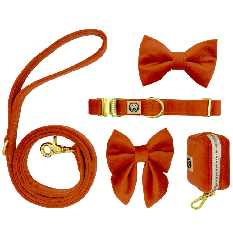 Deluxe Bundle - Tangerine Velvet