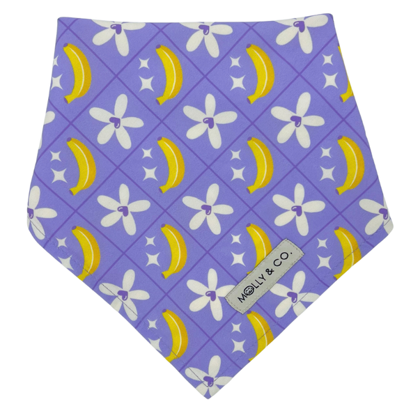 Barkie World - Reversible Dog Bandana