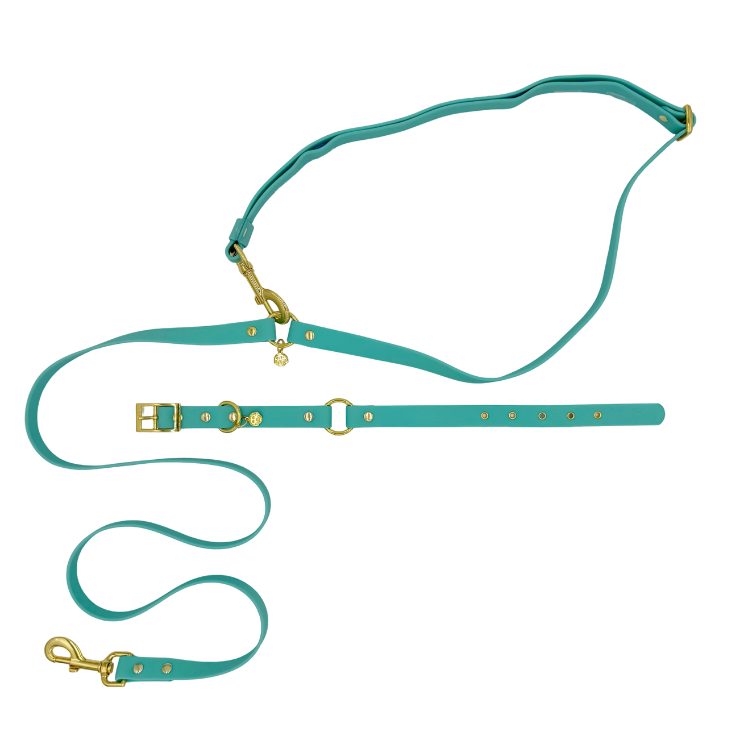 Molly - Splashproof Bundle