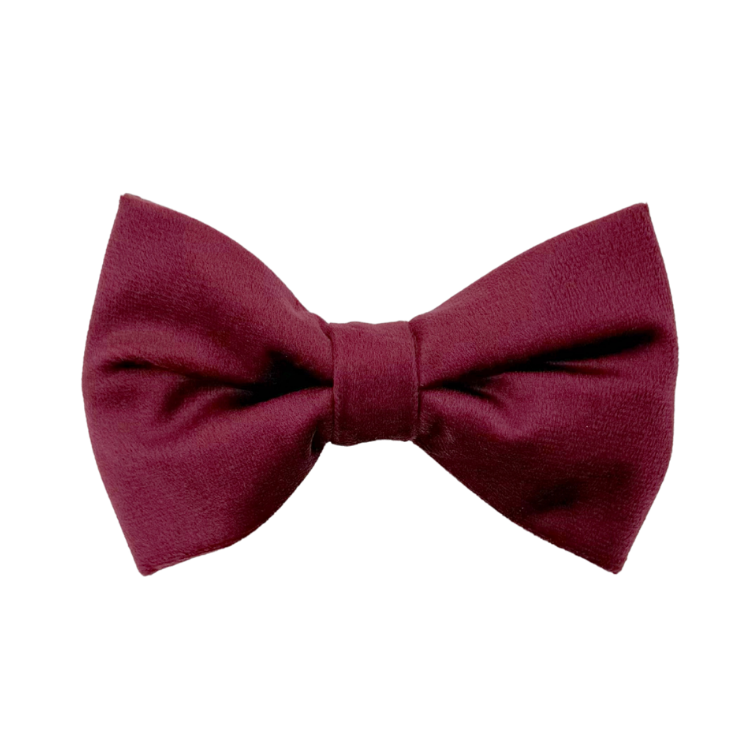 Merlot Velvet - Dog Bowtie