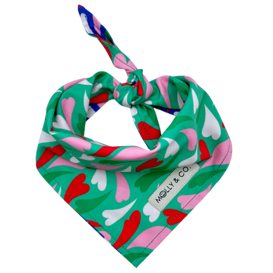 Amore - Reversible Dog Bandana