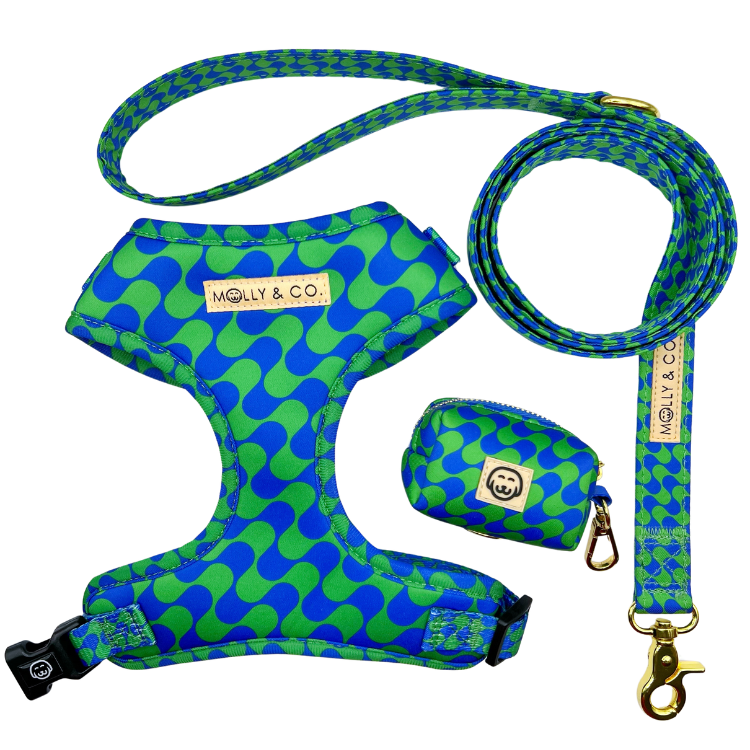 Forest - Walking Bundle