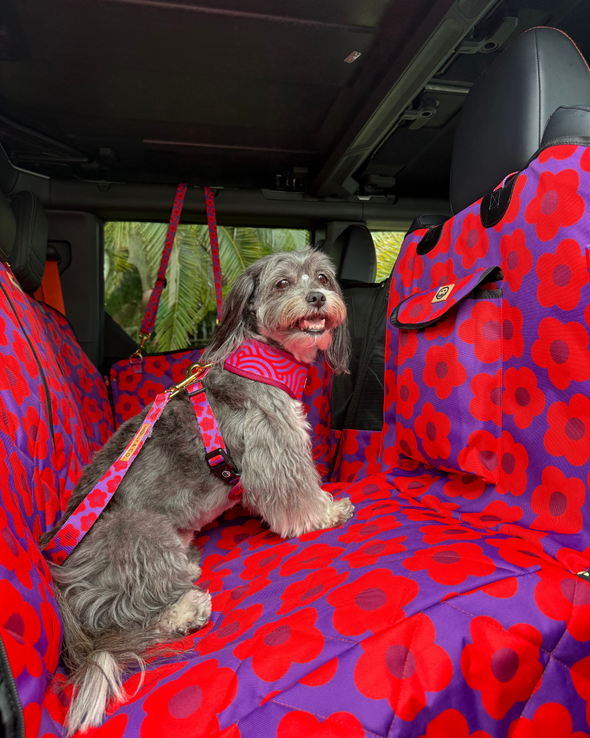 Mon Chéri - Dog Car Seat Cover