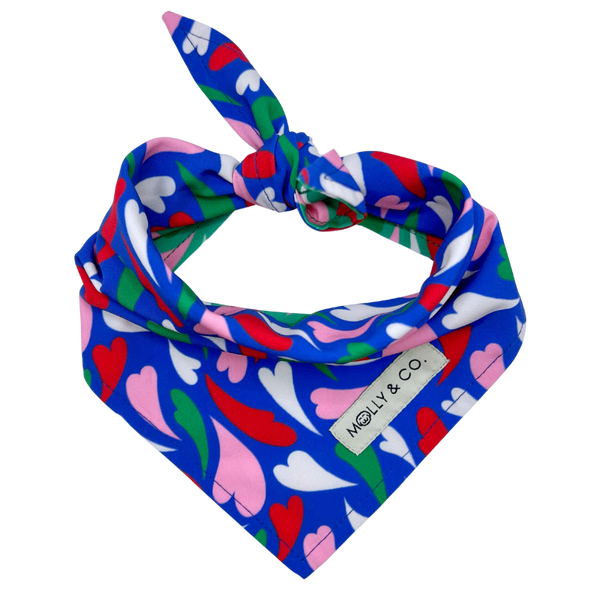 Amore - Reversible Dog Bandana