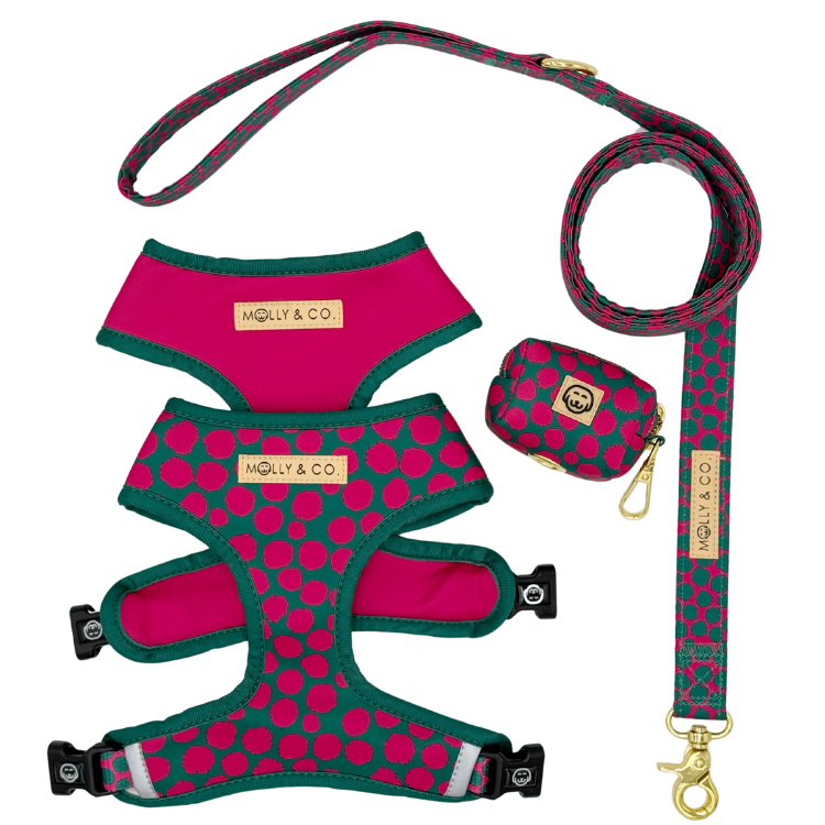 Polka Dogz - Walking Bundle