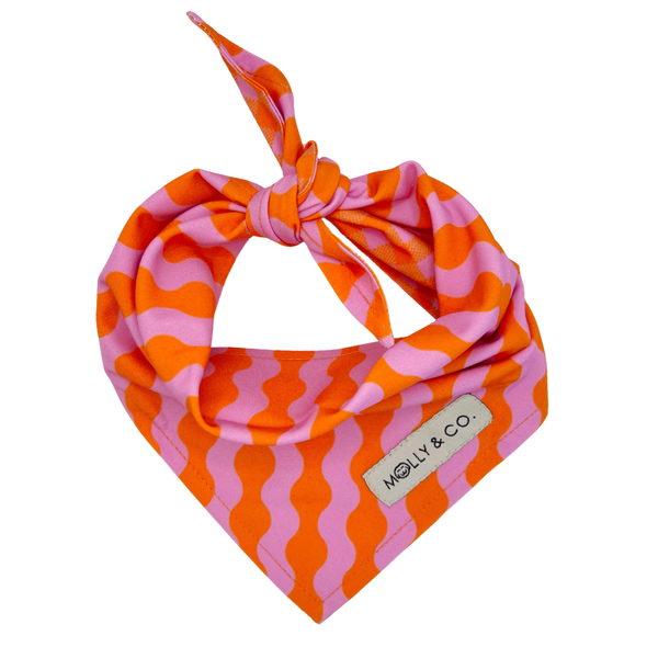 Mango - Reversible Dog Bandana