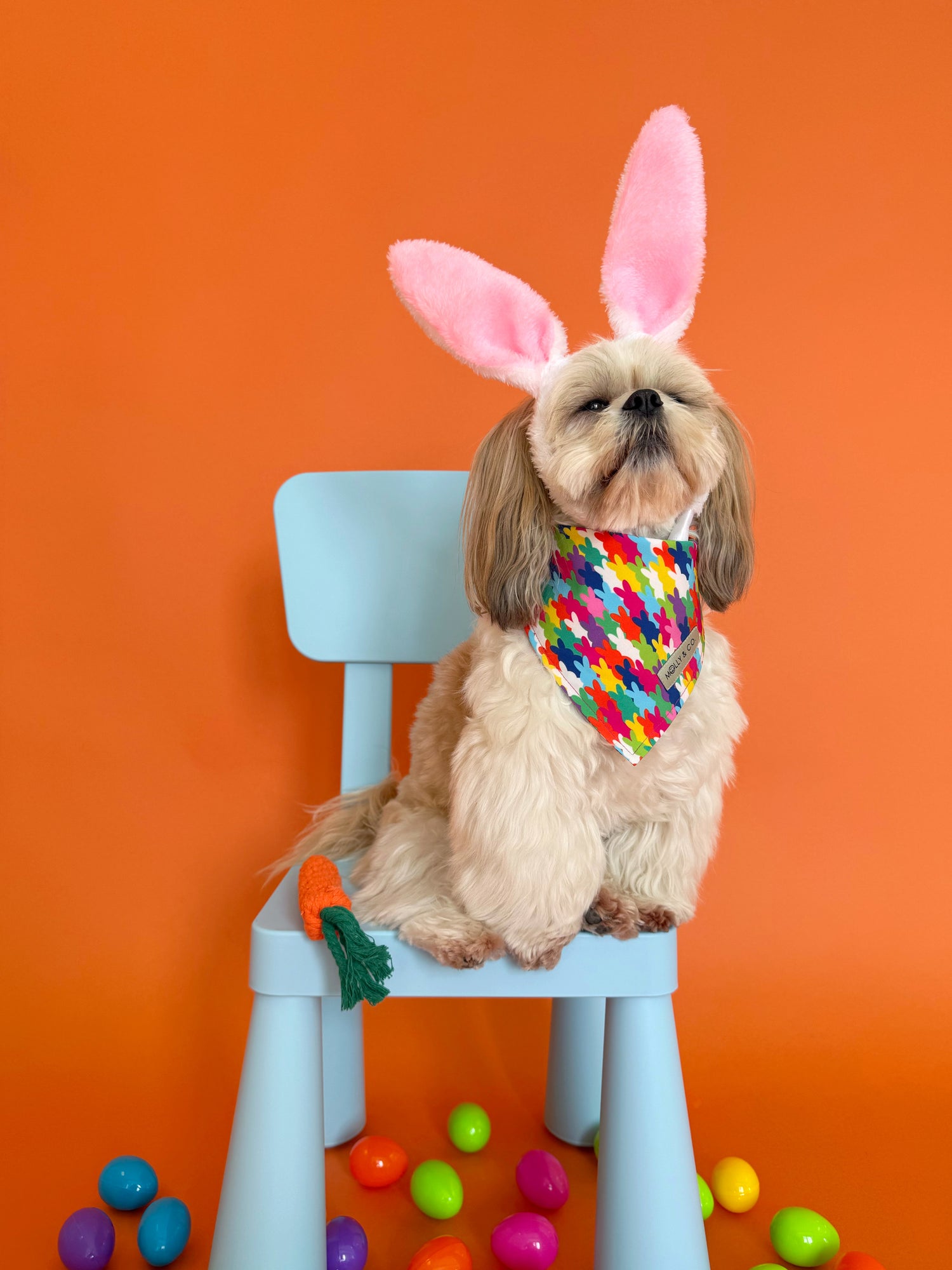 Bunny Parade - Dog Bandana