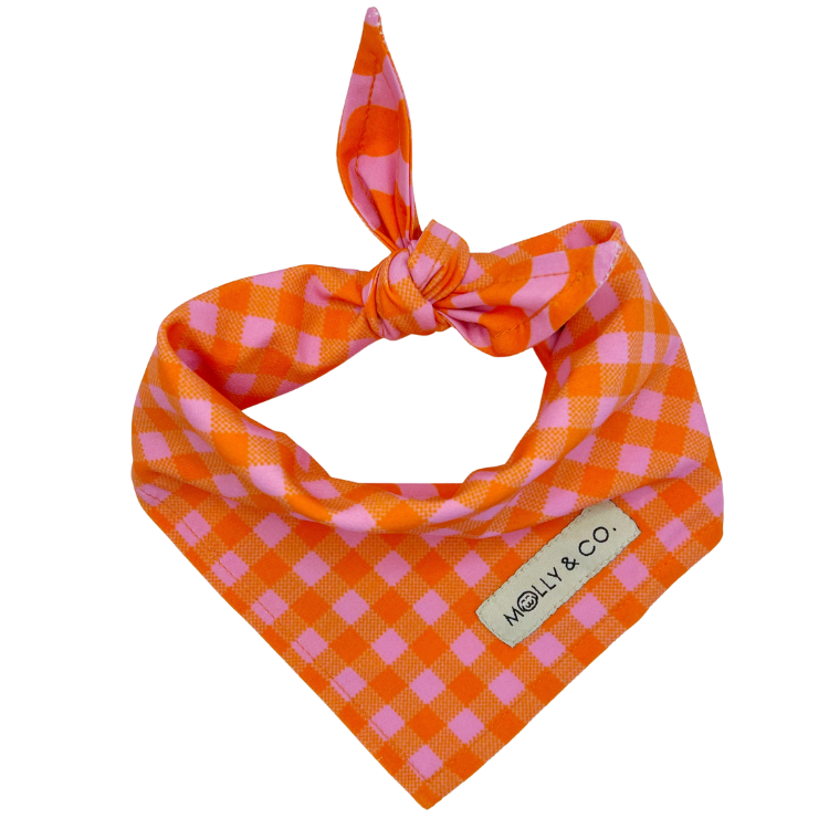 Mango - Reversible Dog Bandana