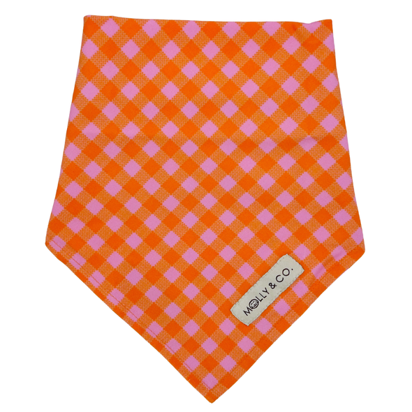 Mango - Reversible Dog Bandana