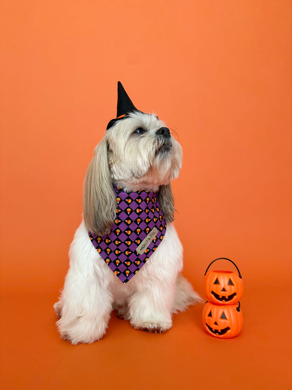 Stay Wicked - Reversible Dog Bandana